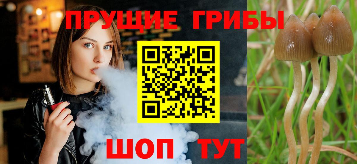 Лабинск  Галлюциногенные грибы мицелий  Галлюциногенные грибы GOLDEN TEACHER  Вход с VPN 